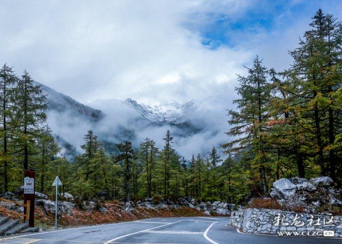 春雨直播app