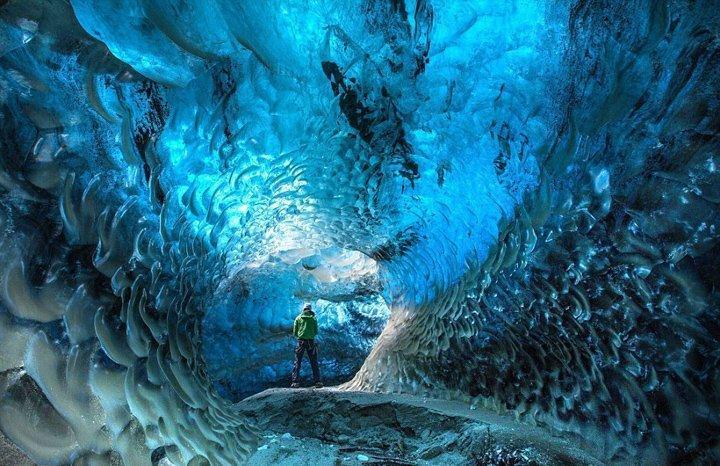 虫虫助手下载