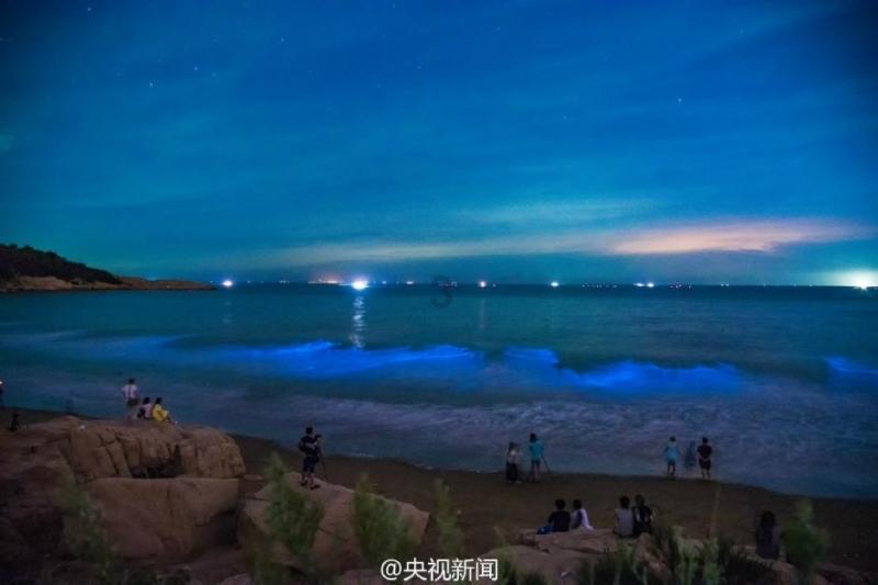紫牛AI生活 | 江浙多地宣布春节假期道路停车位免费