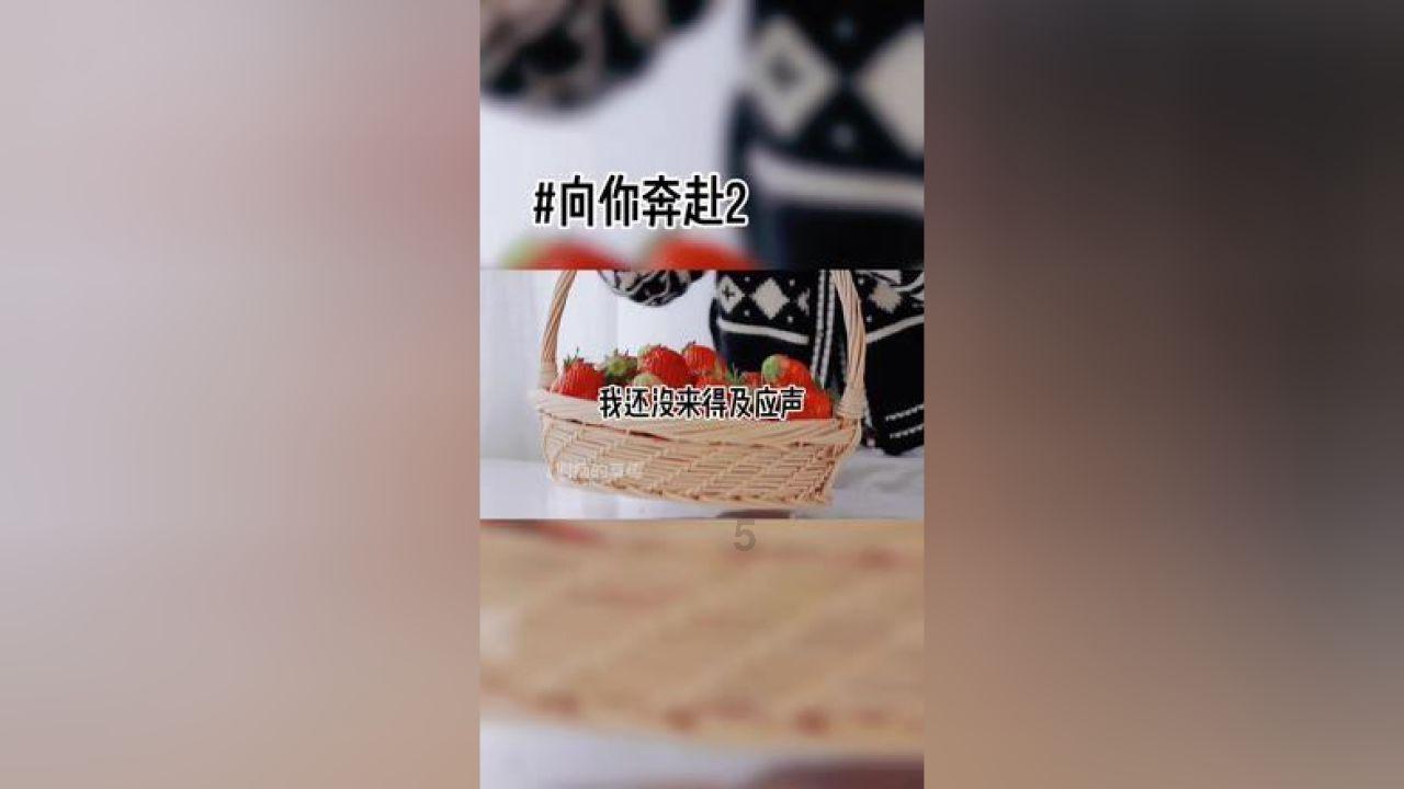 小猫钓鱼游戏龙王版有船