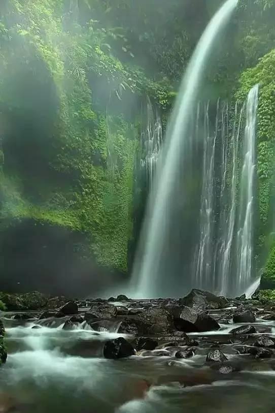 寻梦环游记找吉他