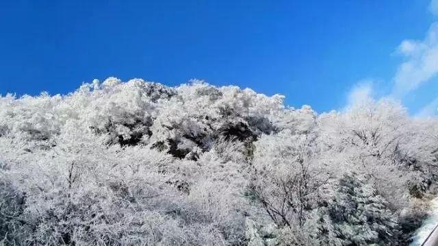 听别人给他出主意离我远点+我怎么回复？游戏画面