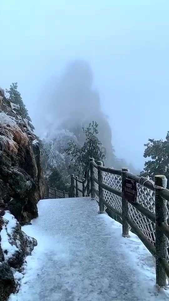 逃离太古森林