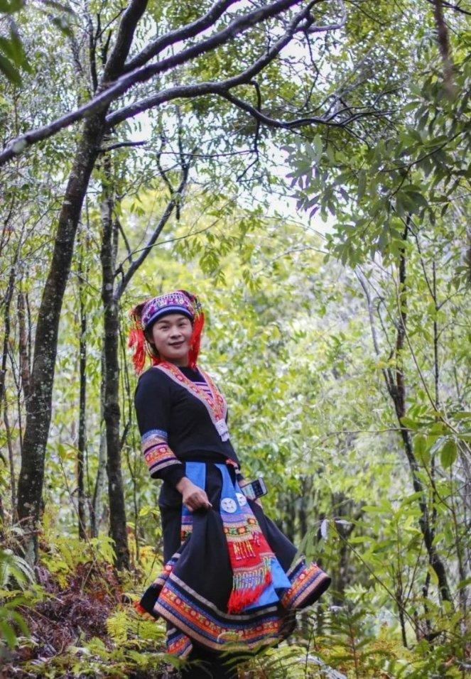 虫虫助手下载