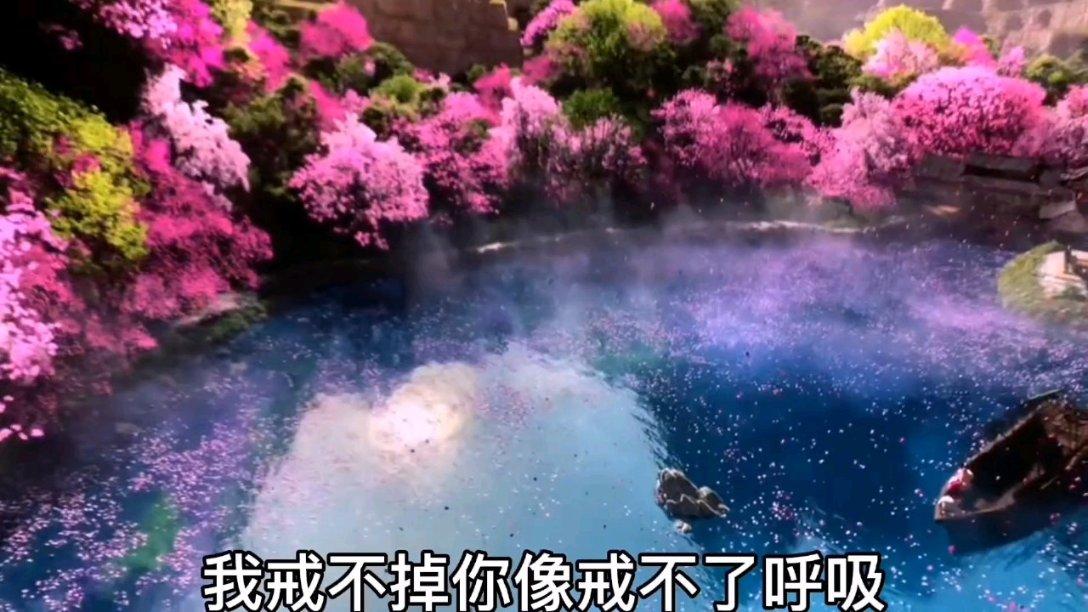 88影视