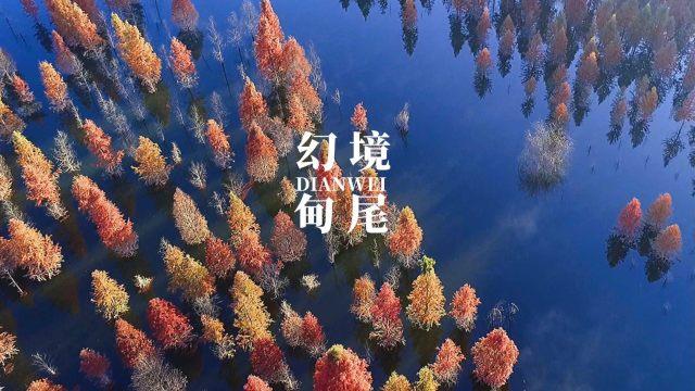 燃烧吧大脑装瓶子游戏