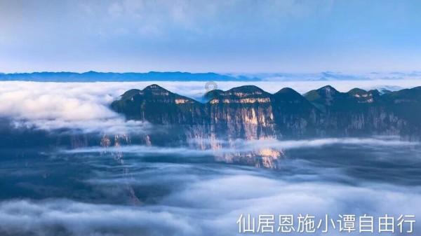 春雨直播app
