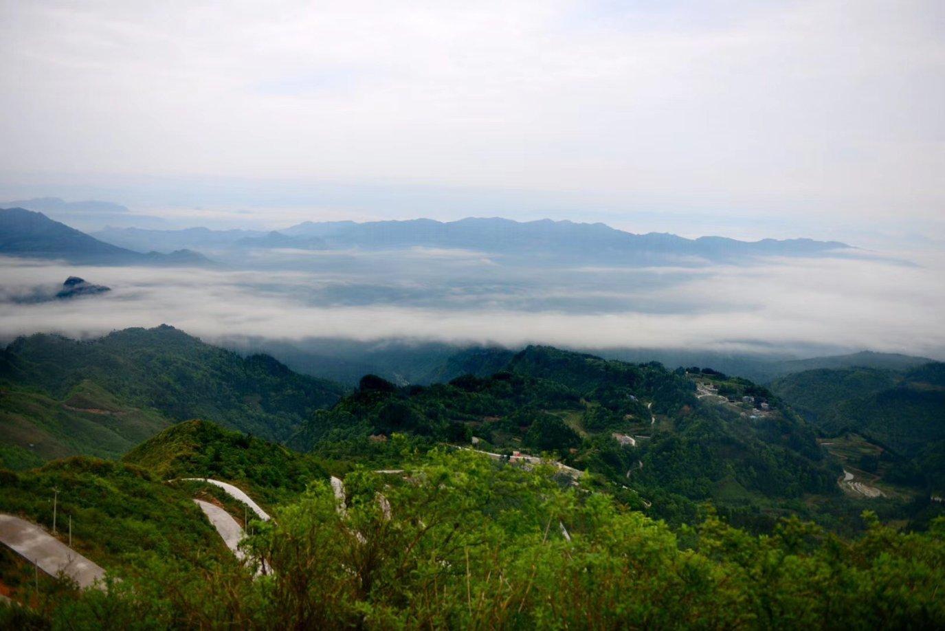 美丽皇后逃脱