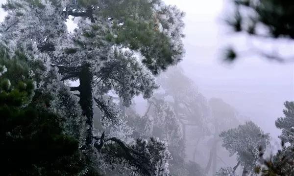 逃离废弃楼层4