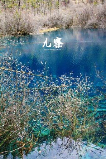 小猫钓鱼正版下载中文版