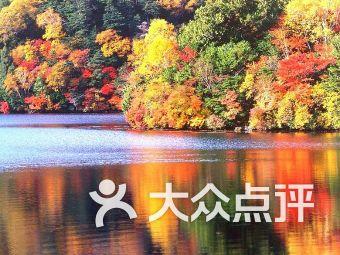 春雨直播app