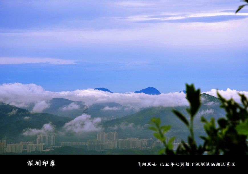精灵的居住地