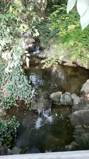股海导航 1月25日沪深股市公告与交易提示