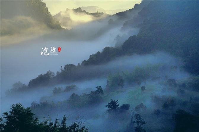 晶体管