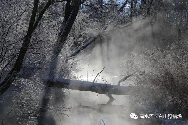 TYC记者：迈阿密引进河床中场帕拉维西诺谈判陷入僵局