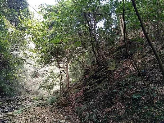 请问律师我小孩13岁在学校好为什被同学把门牙打掉了这情况该怎么解决?游戏画面