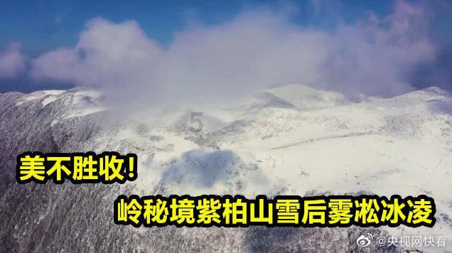 英雄三国