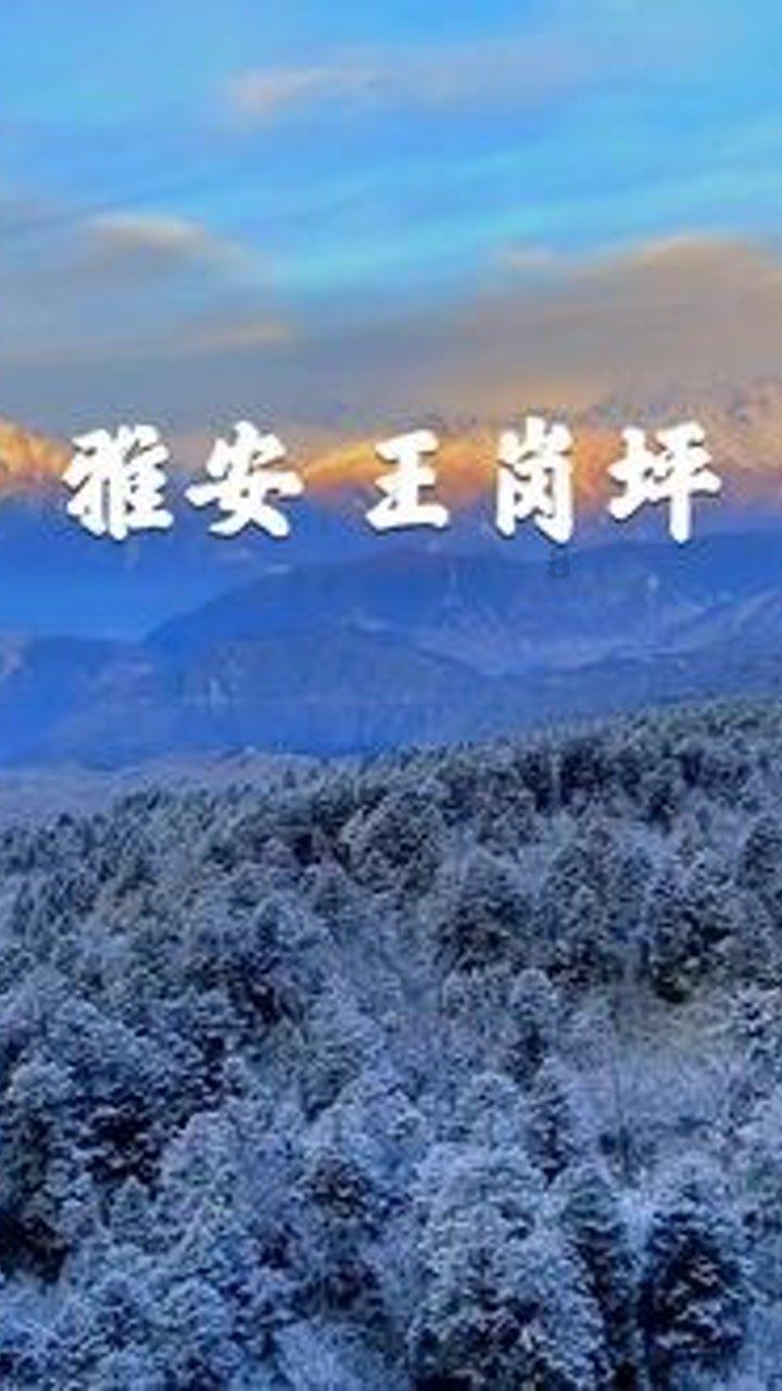 春节的对子有哪些游戏画面
