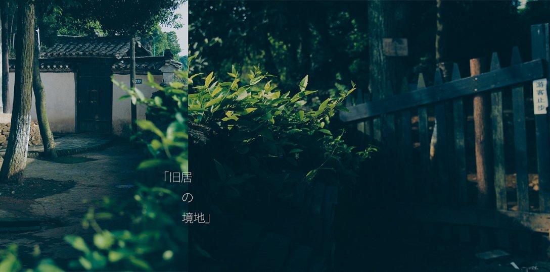 适量食用绿叶蔬菜能够有效地补充钙质,满足人体对钙的需求
