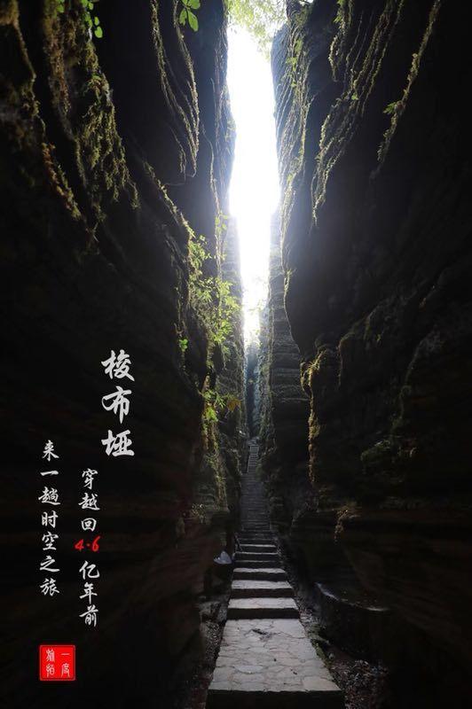 嘉日单词