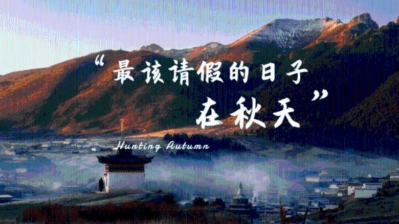 次元喵