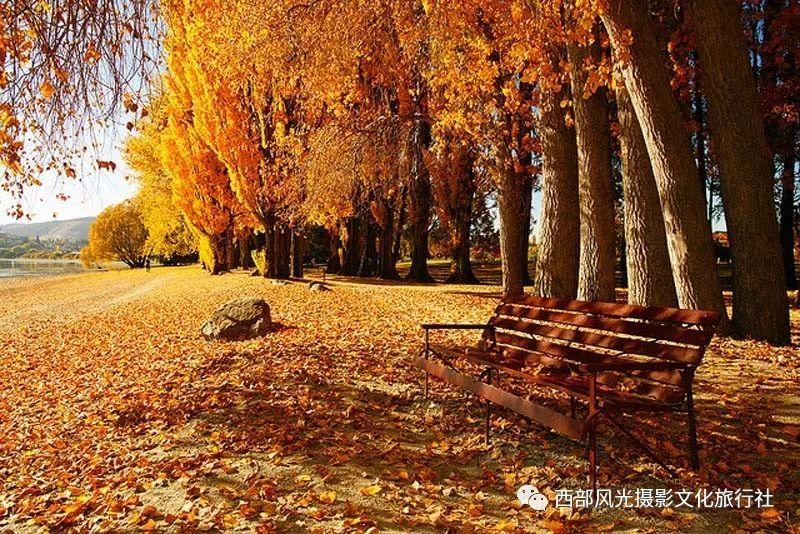 我的王朝