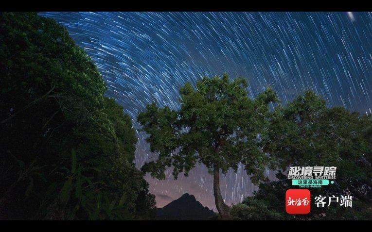 “菜篮子”里的幸福年
