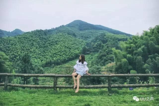 春雨直播app