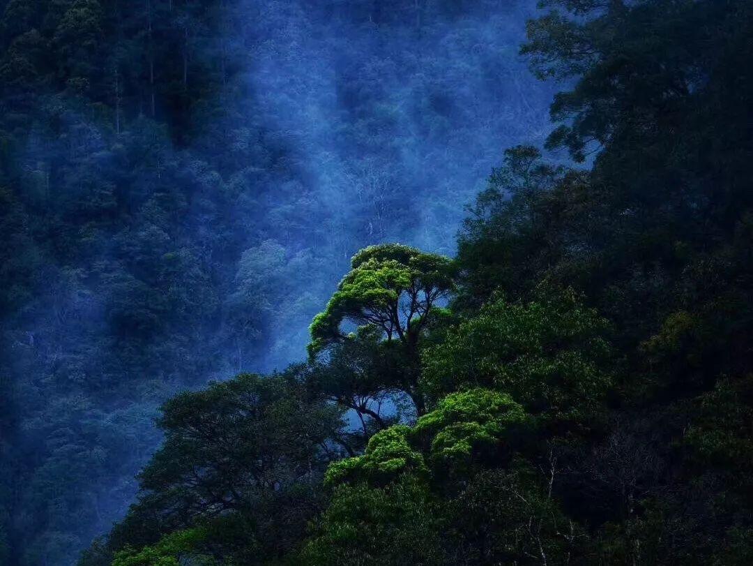 红色系