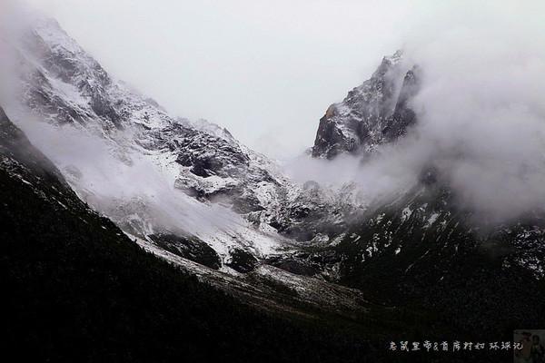 燃烧吧大脑装瓶子游戏