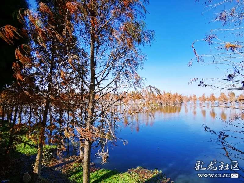 苹果菠萝笔3
