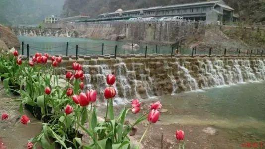 芭蕾舞