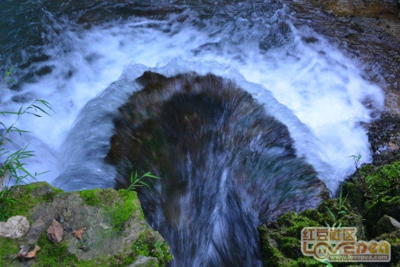 小猫钓鱼正版下载中文版