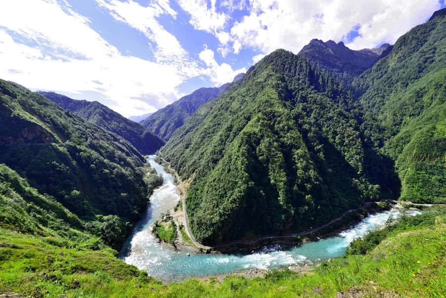 拯救蝙蝠家族