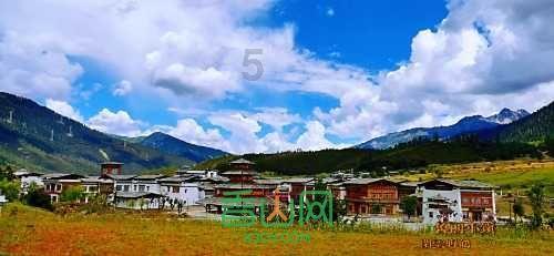 四川青川县城加入下雪“群聊”,人们纷纷走出家门赏雪景