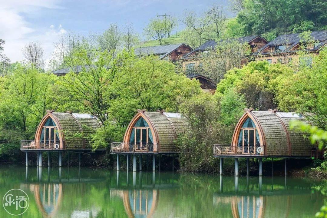 中医药单招！湖南中医药高等专科学校