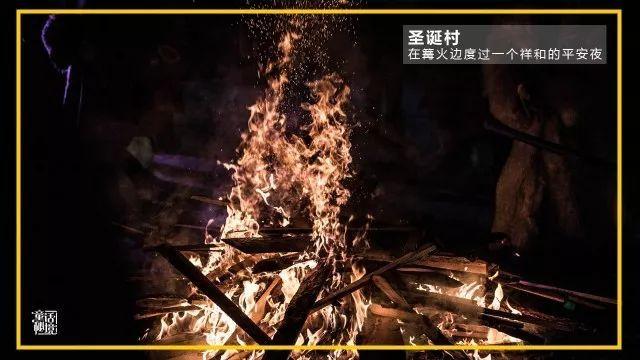 春雨直播app