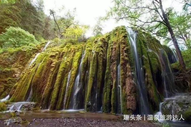 燃烧吧大脑装瓶子游戏