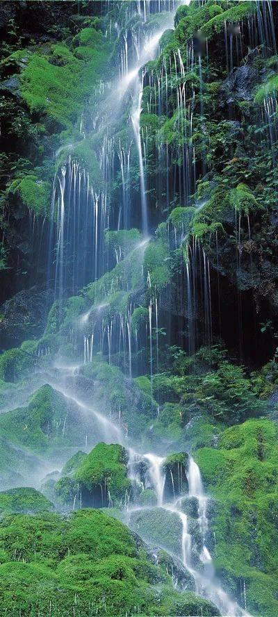 遮阳帐篷