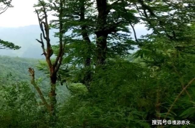 两会声音〡张勇委员：建立以信用为基础的新型监管机制