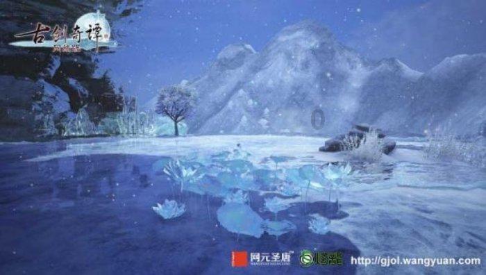 史上最胖柴犬,一脸鄙视看着人们说道:愚蠢的人类你们都没我胖