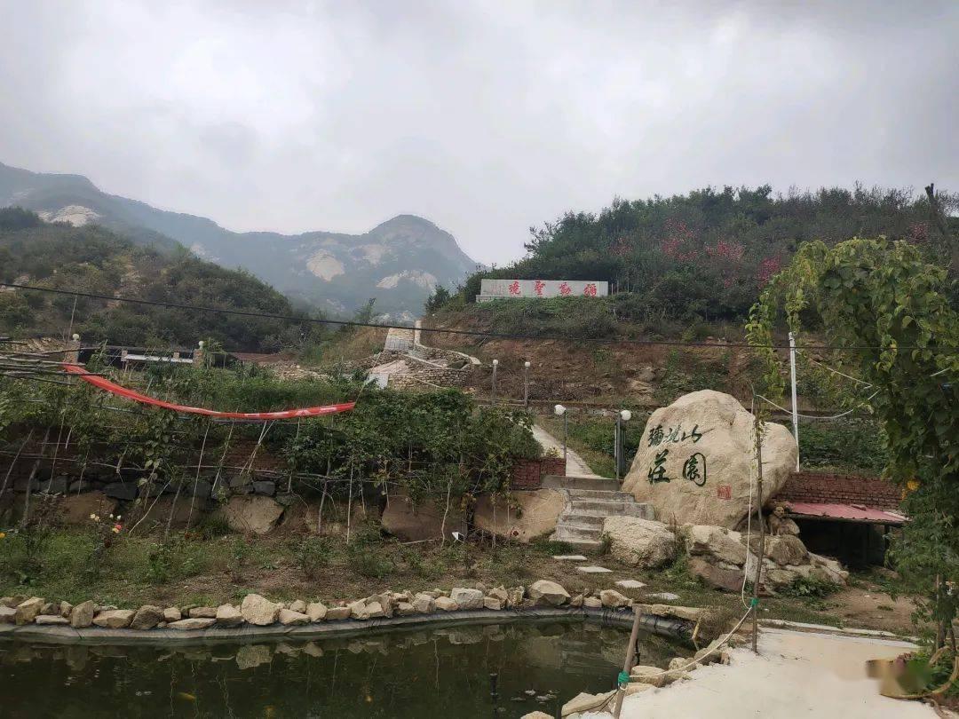 沪江开心词场