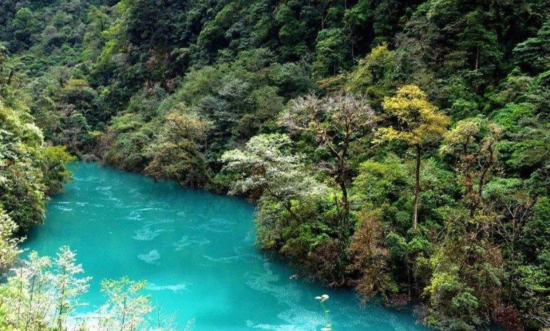 校园追星变形记