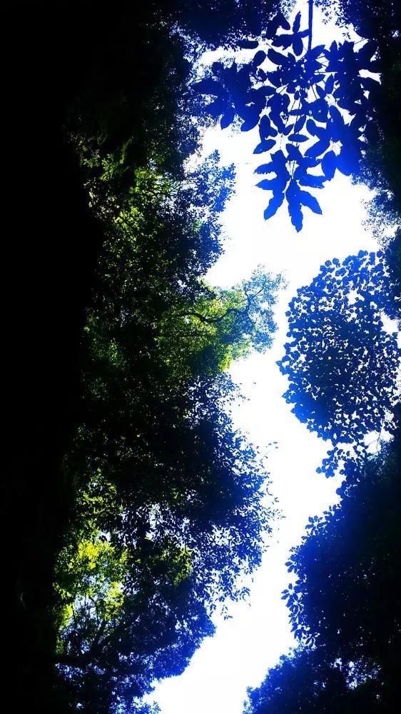 新年首败，全红婵为何丢冠？谁注意陈芋汐表态，全爸爸担心的来了