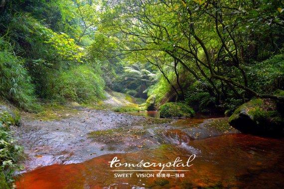 福泉：“三部曲”树好老干部以评促干“风向标”