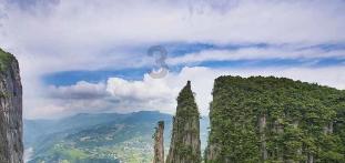 燃烧吧大脑免广告最新版