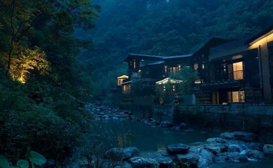 春雨直播app