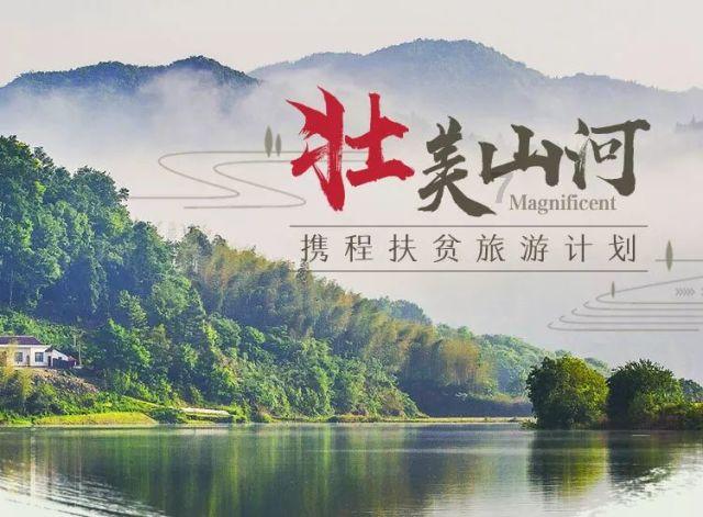 照顾小兔宝宝