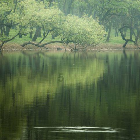 大民年货大集