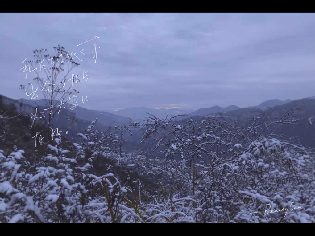 燃烧吧大脑装瓶子游戏